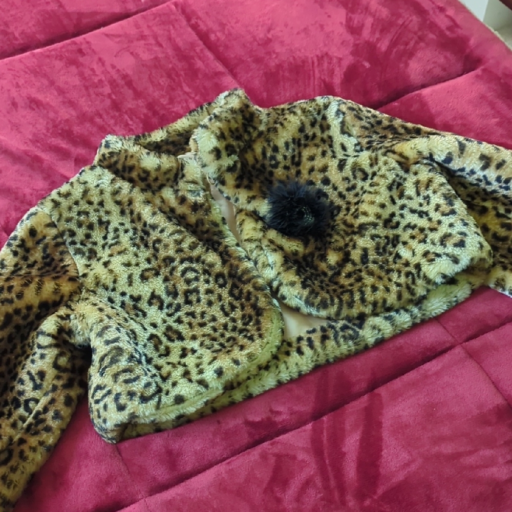 Brown and Black Teddy Jacket with Plush Texture